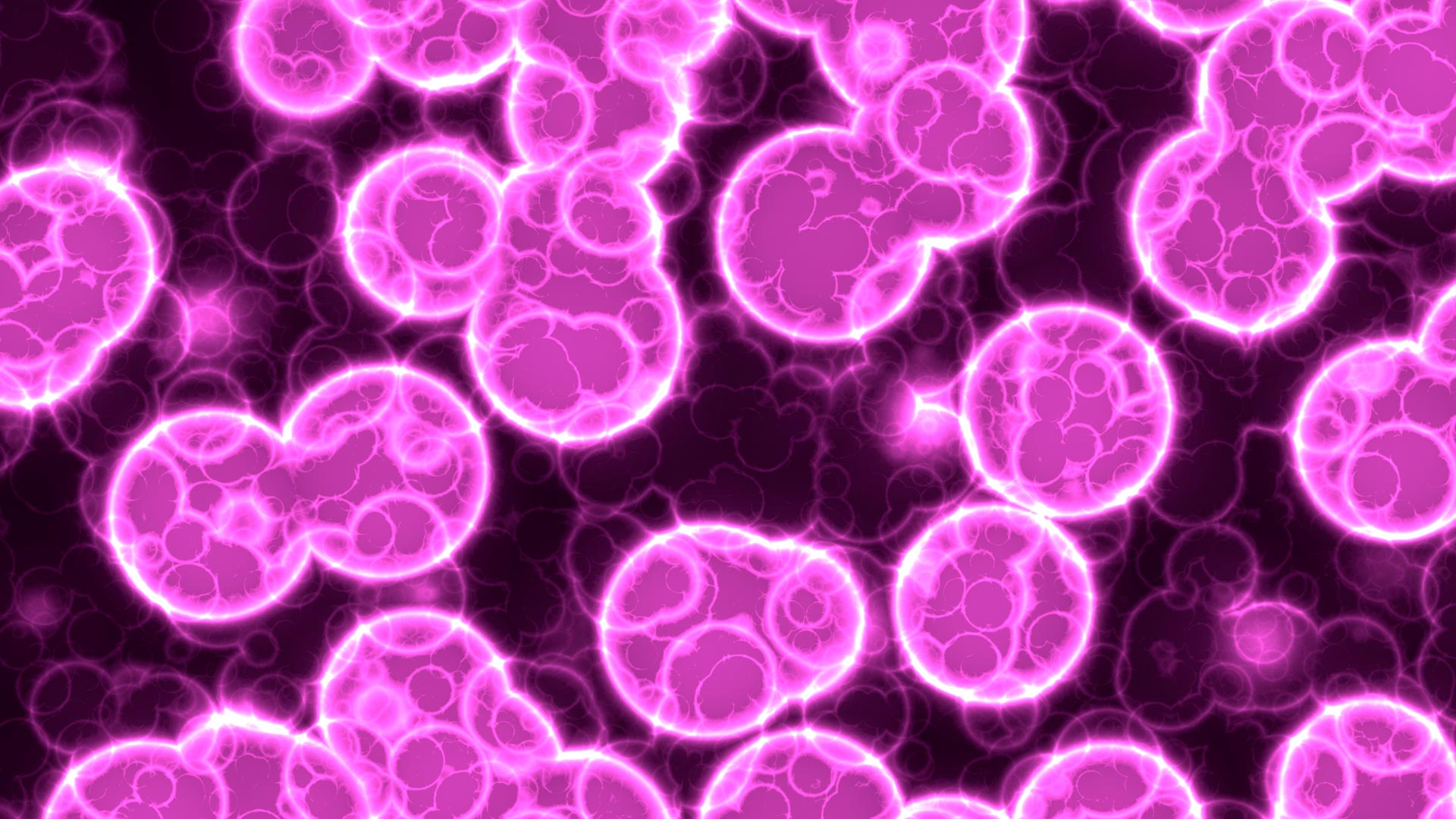 Histology for the Health Sciences Organ Systems Biology Diagrams