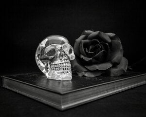 glass skull and black rose sitting on a black book