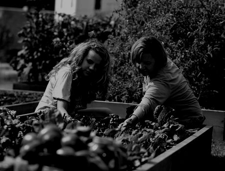 Two women working in an urban garden