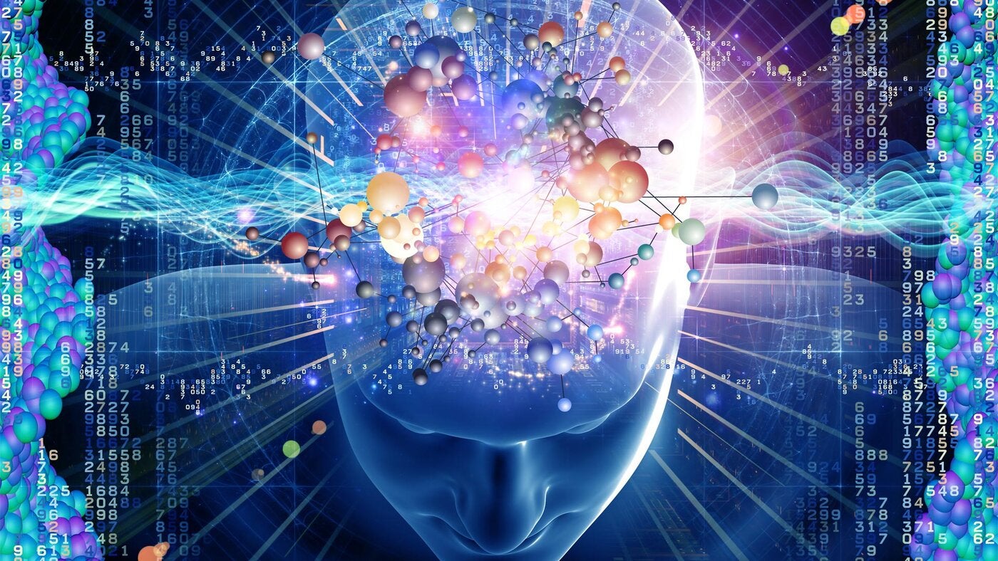 Functional Neuroanatomy Course UCLA Extension