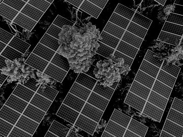 Aerial View Of Solar Panels On Trees