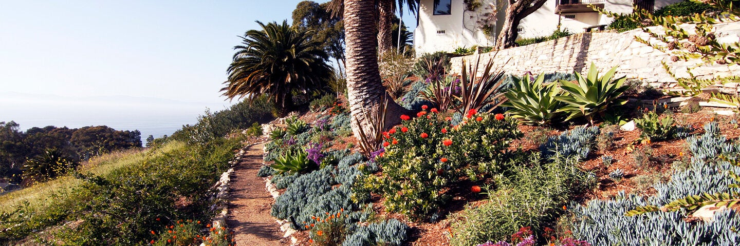 Graded Landscaped Garden