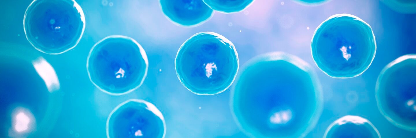 introduction-to-cell-biology-mcdbioxl10