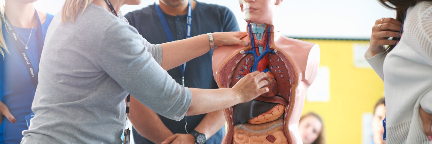 introduction-to-human-anatomy-physcixl13