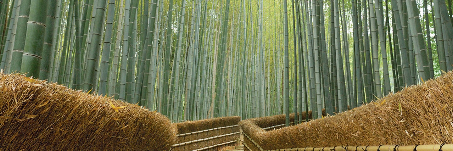 landscape-architecture-ce0594