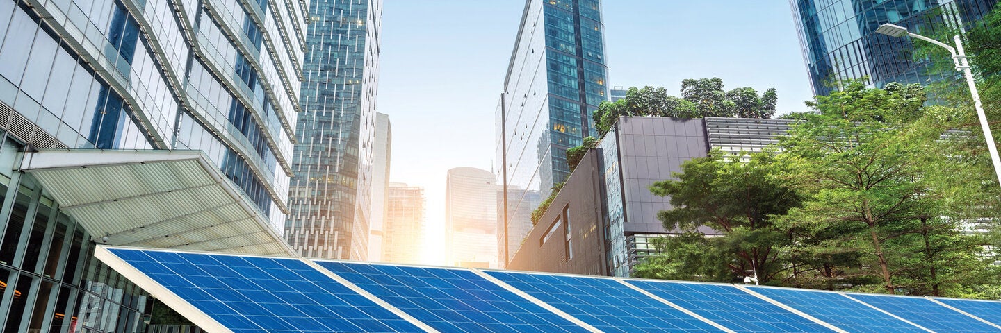 sustainability-and-environmental-studies-fos-header