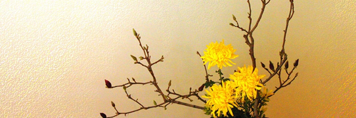  yellow flower Ikebana