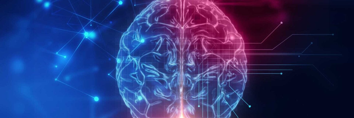 digital image of brain