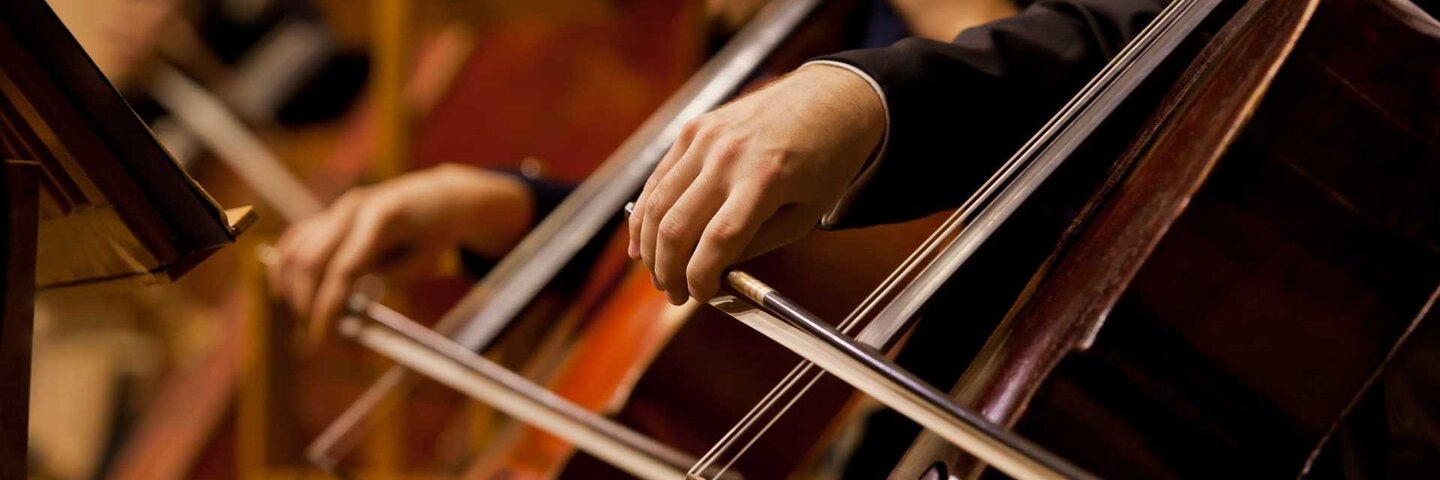 hands playing a stringed bass instrument