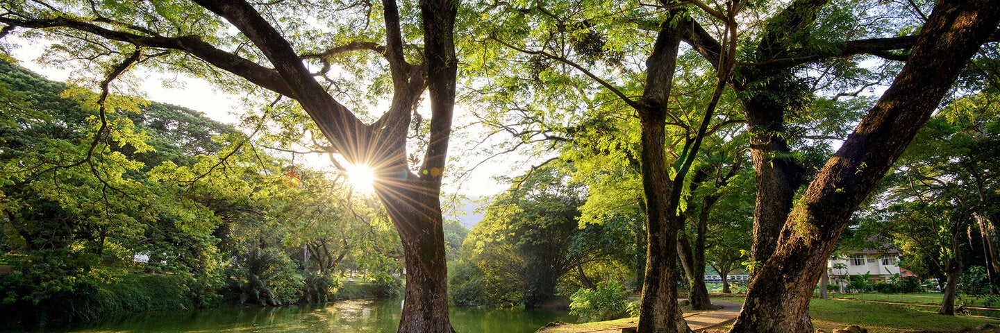 plant-materials-for-landscape-use-biolgyx499