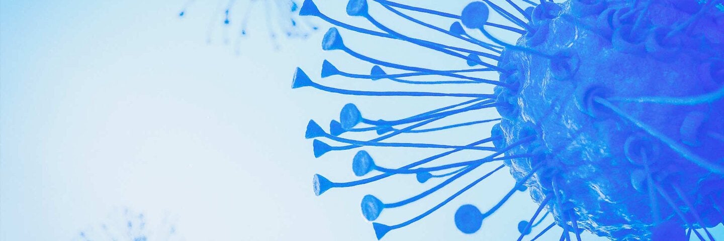 immune system virus and virology concept