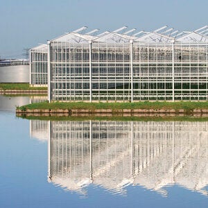 sustainability-and-environmental-studies-fos-sub